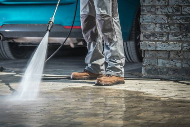 Best Pre-Holiday Cleaning  in Enola, PA